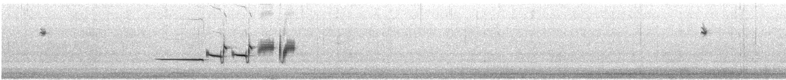 White-crowned Sparrow - ML645947990