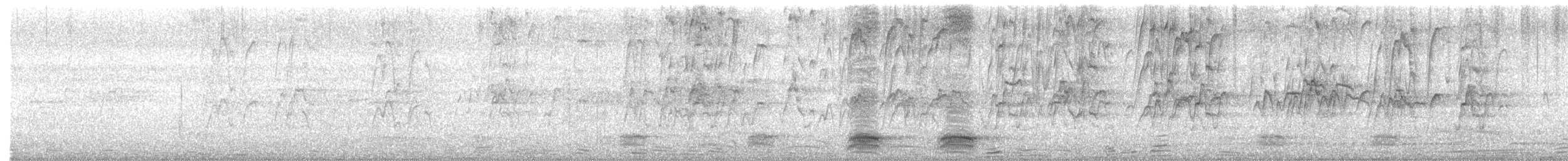 Lesser Whistling-Duck - ML645948304