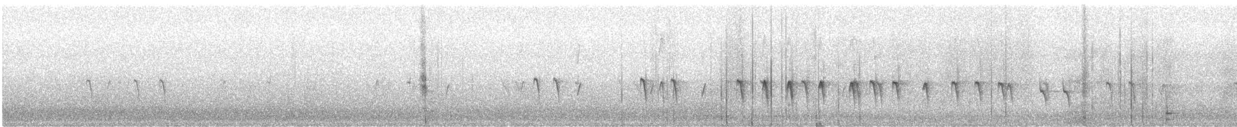 Red Crossbill (Northeastern or type 12) - ML645948648