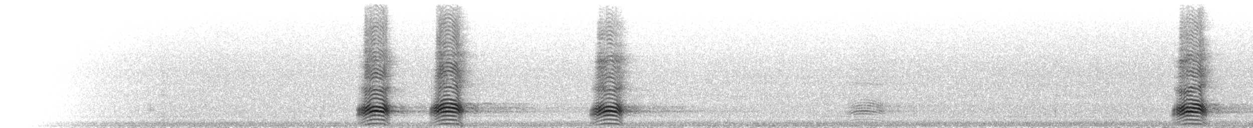 Torresian Crow - ML645948720