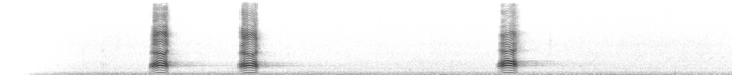 Torresian Crow - ML645948721