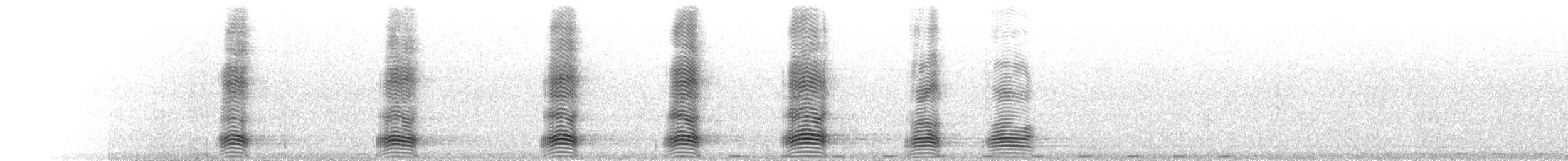 Torresian Crow - ML645948724