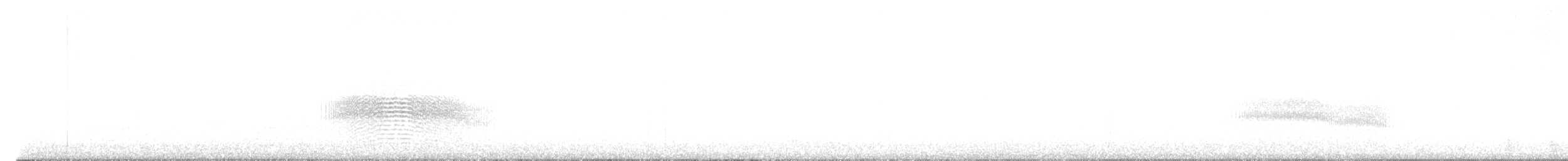 White-tipped Plantcutter - ML645949055