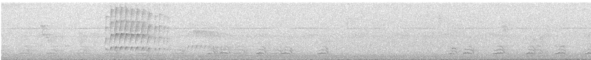 Yellow-crowned Amazon - ML645949407