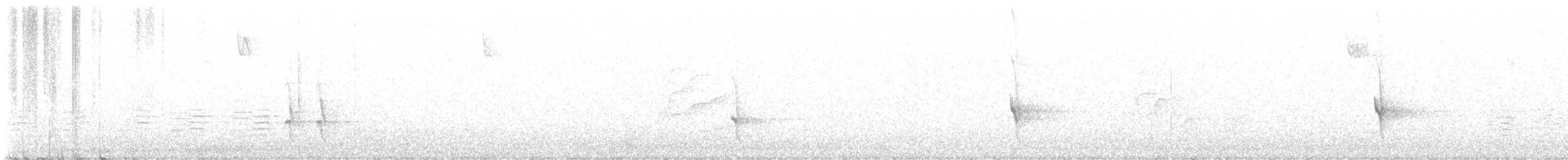 Шишкар ялиновий - ML645949554