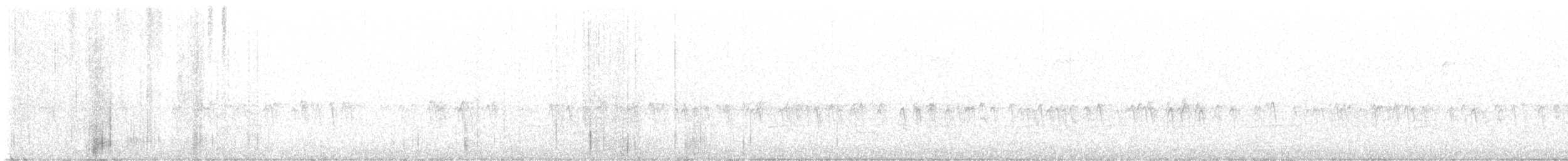 Шишкар ялиновий - ML645949555