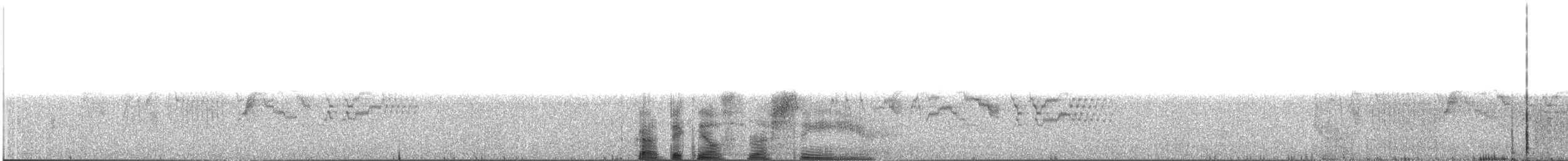 Bicknell's Thrush - ML645949928