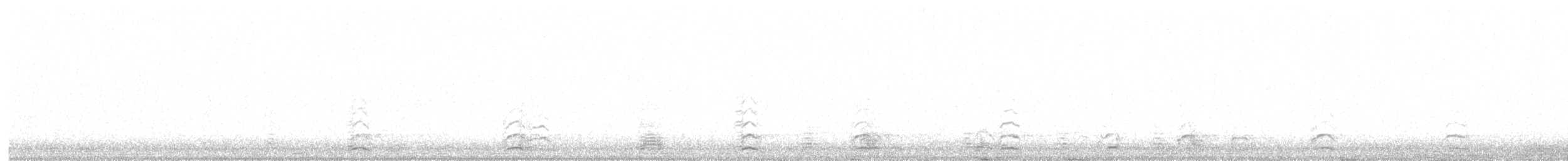 Snow Goose - ML645950312