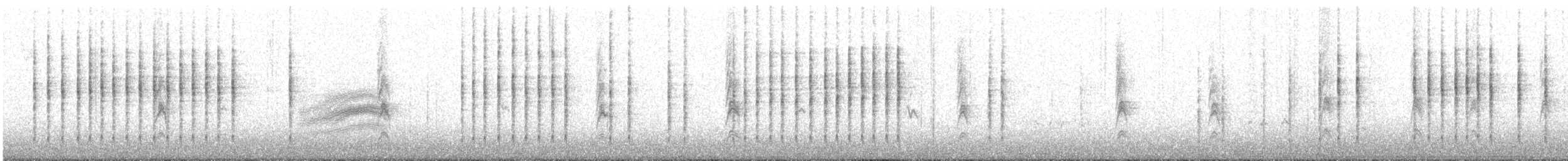 Wrentit - ML645950485