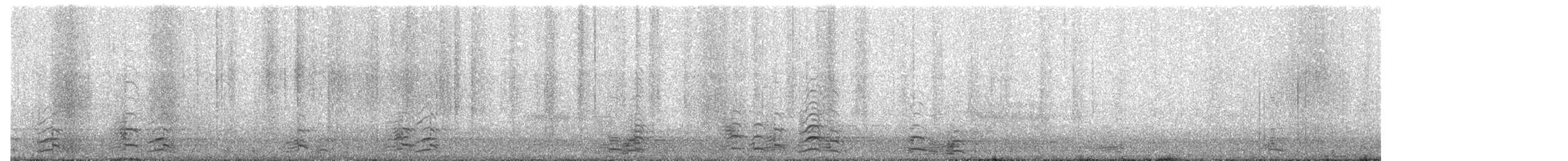 小加拿大雁 - ML645950490