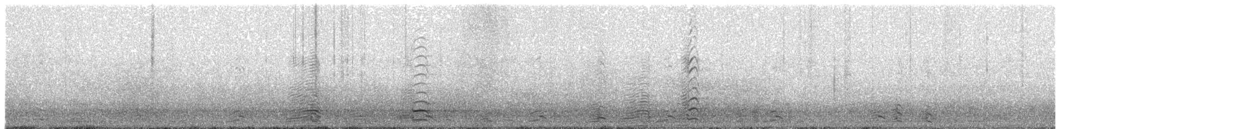 小加拿大雁 - ML645950952