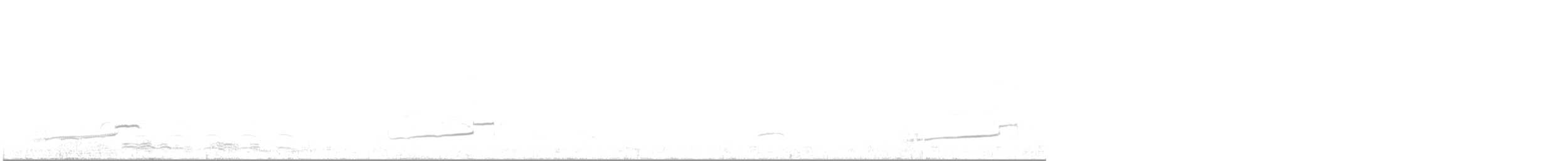 Eurasian Curlew - ML645951236