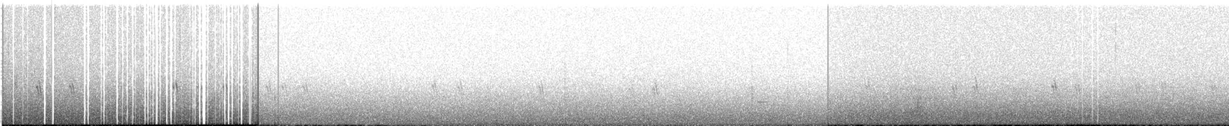 Piquituerto Común - ML645951278