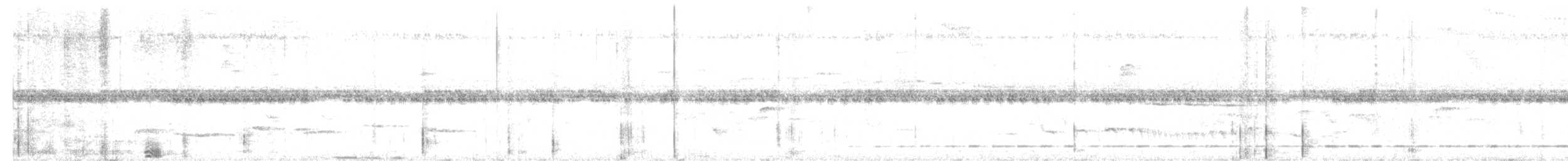 Short-tailed Antthrush - ML645951502