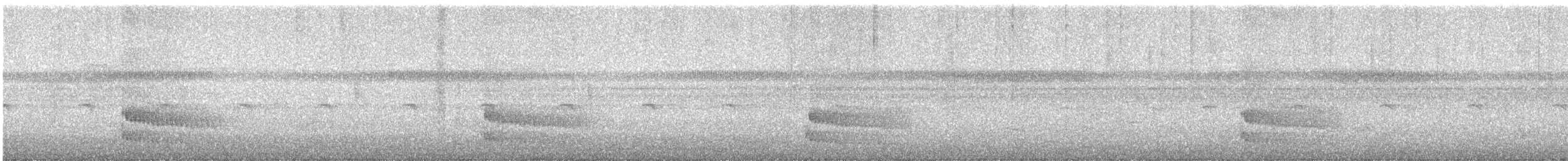 Collared Trogon - ML645952054