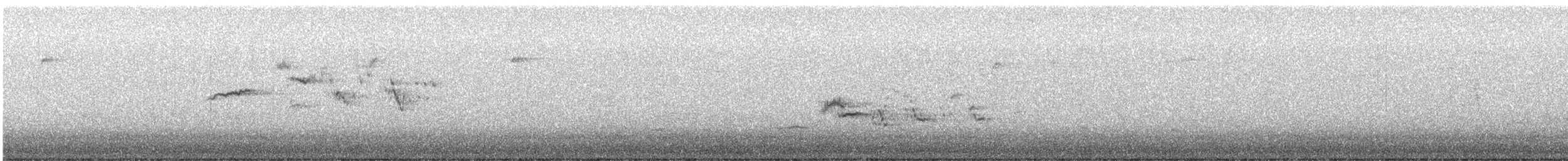 Hermit Thrush - ML645952154