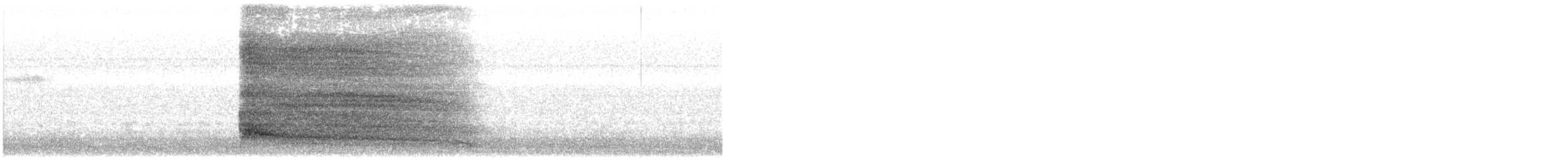 American Barn Owl - ML645952156