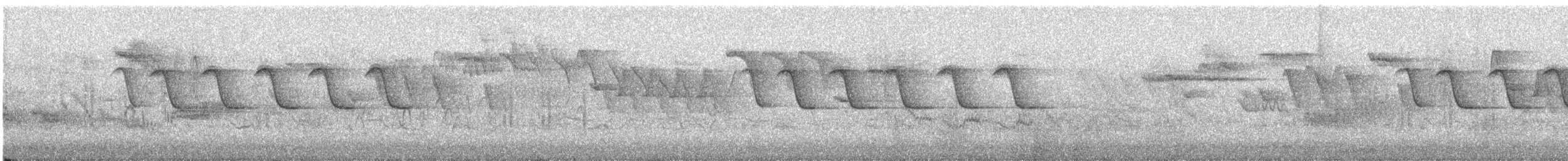 Willow Tit (Willow) - ML645952184