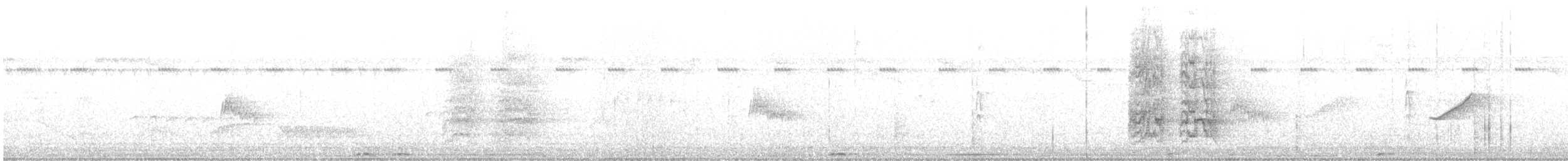 Piratic Flycatcher - ML645952235