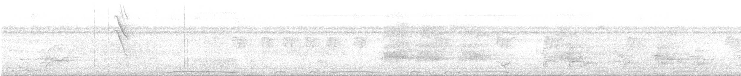 Blue-gray Tanager - ML645952247