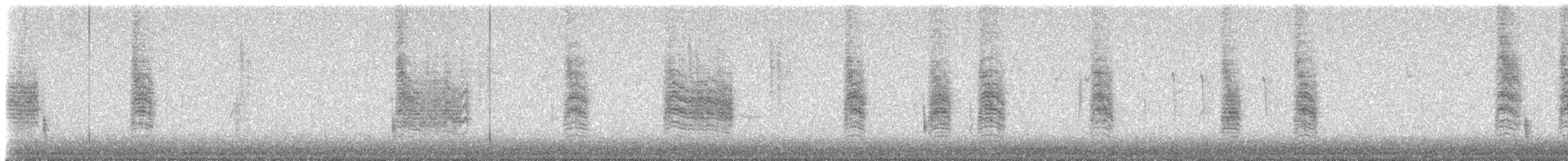 Northern House Wren - ML645952405