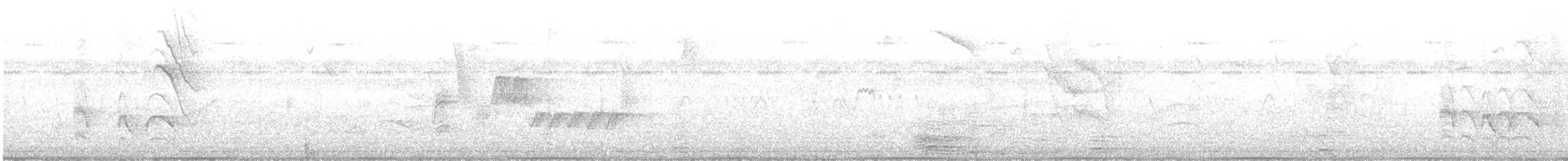 Blue-gray Tanager - ML645952486