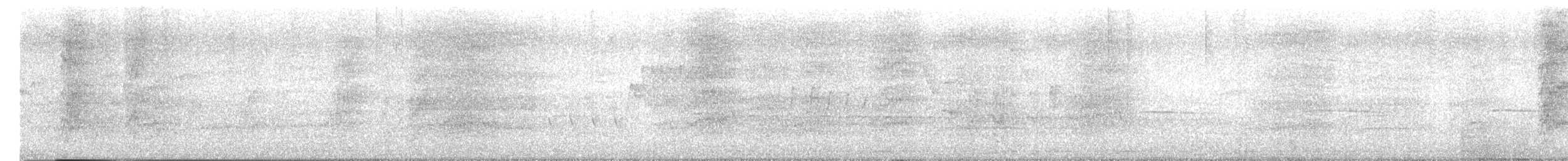 Cotorra Argentina - ML645953023