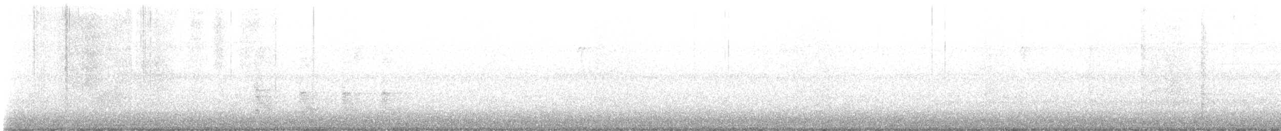 Carpintero de Carolina - ML645953278