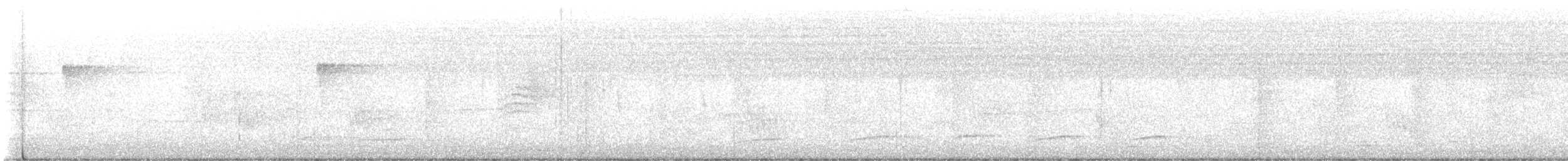 Batará Lineado - ML645953535