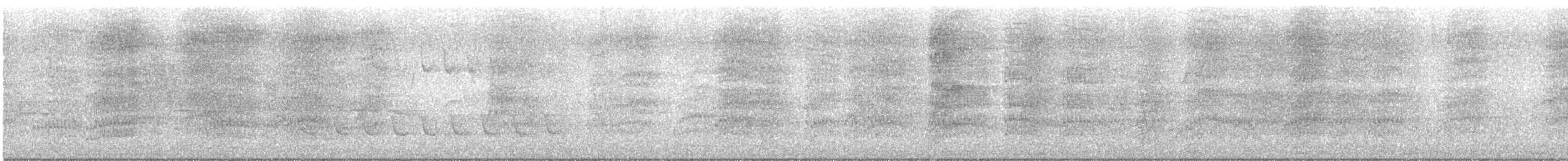 White-winged Becard - ML645953584