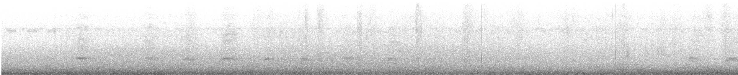 sojka středoamerická - ML645953596