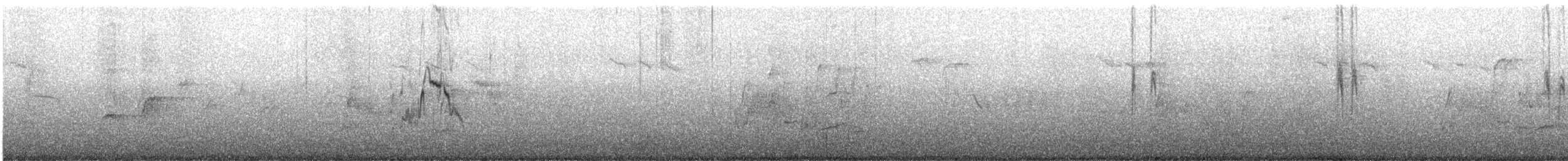 linerle (lugens) (hvitvingeerle) - ML645953866