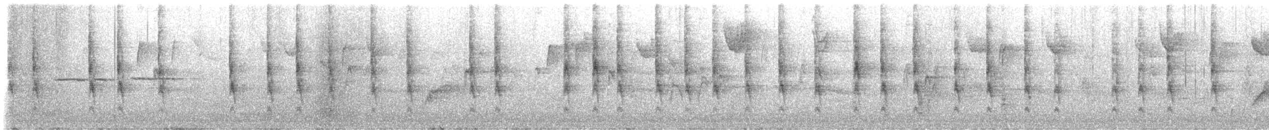 フユミソサザイ - ML645953953