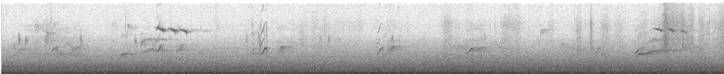 stjertmeis (europaeus gr.) - ML645954142