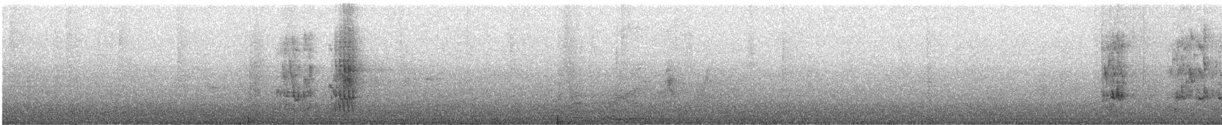 sotstær - ML645954656