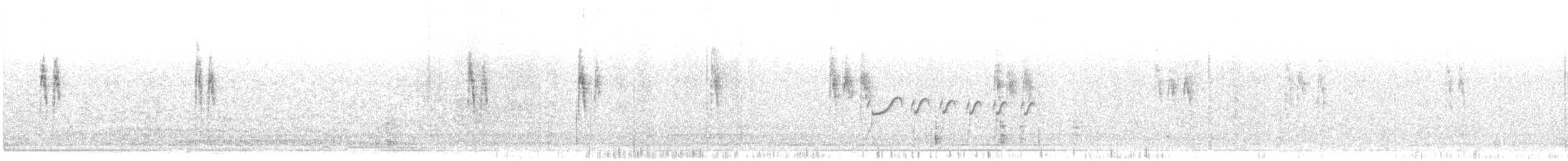 White Wagtail (White-faced) - ML645955094