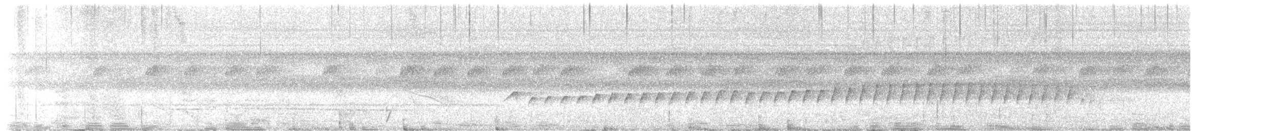 sølvmaurfugl - ML645955257