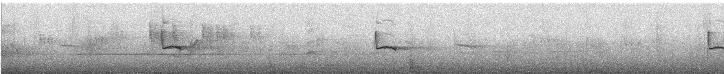 Warbling White-eye - ML645955786