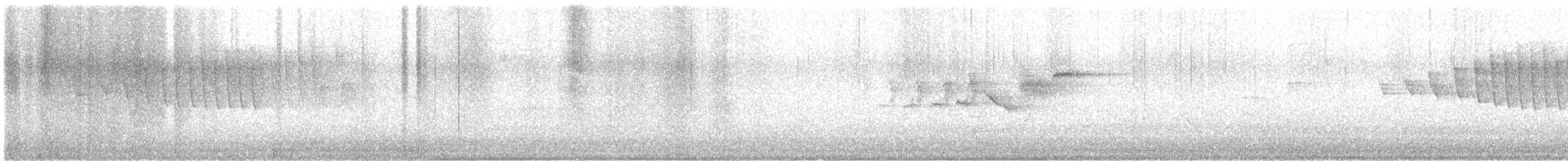 Black-throated Gray Warbler - ML645956113