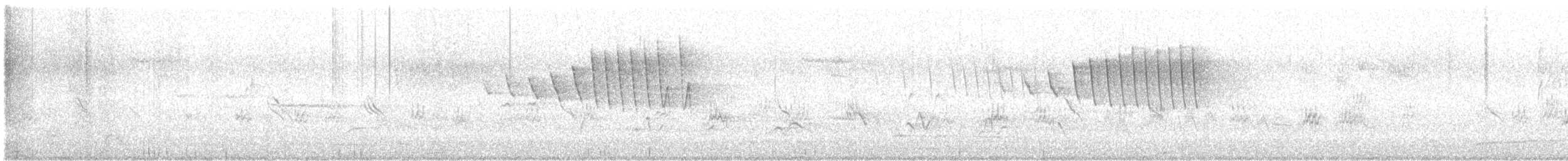 Mokolodi bekainoria - ML645956182