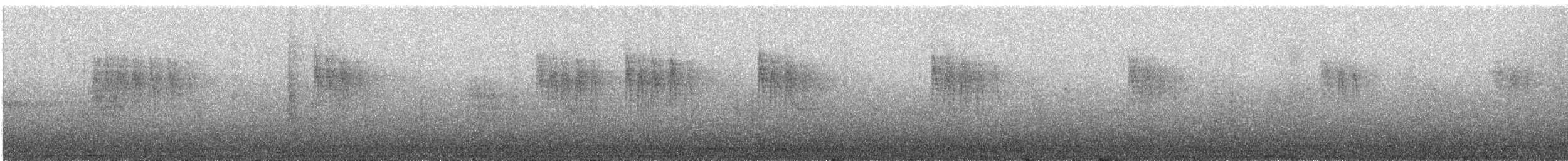 Buztanikara zuria (lugens) - ML645956186