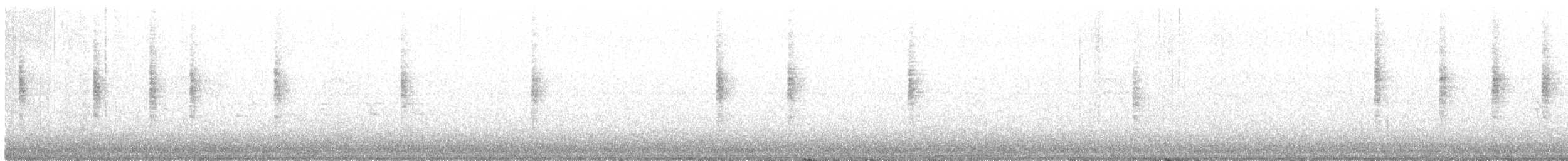 Широкохвістка китайська - ML645956621