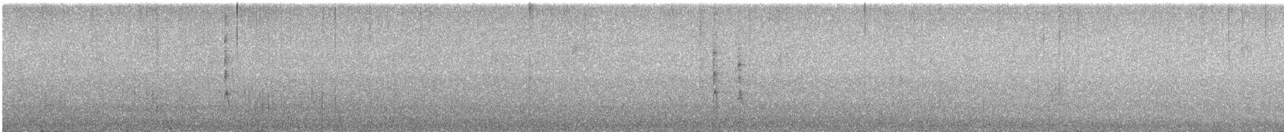 Winter Wren - ML645956656