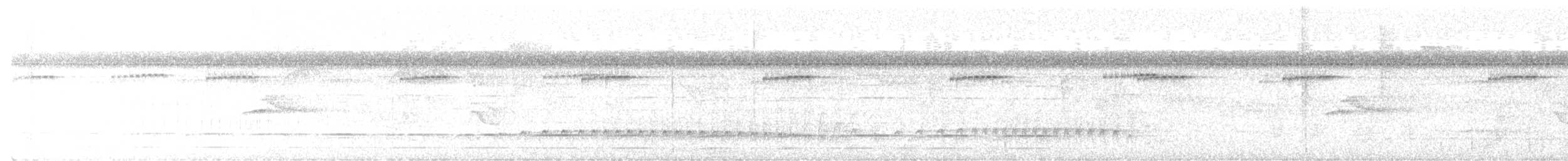 Каатинга білоброва - ML645956741