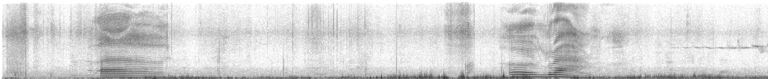 Einsiedelwaldsänger - ML645956878