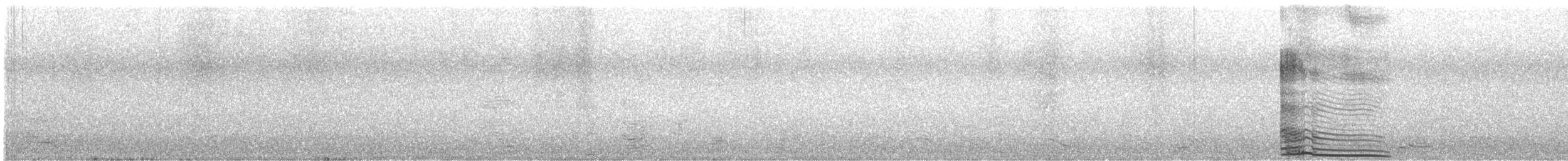 Nashville Warbler - ML645956932