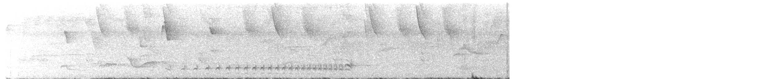 Dunkelmantel-Ameisenwürger - ML645956967