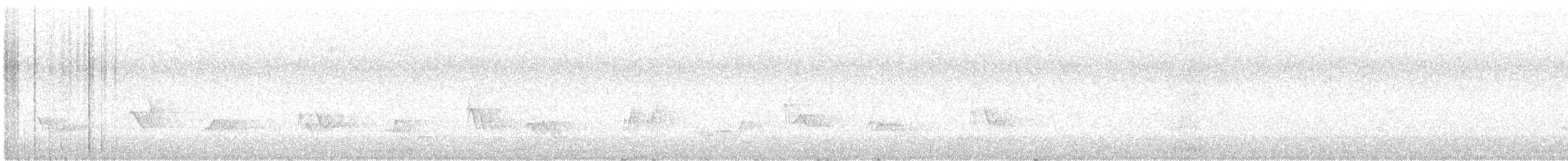 Schwarzkopf-Kernknacker - ML645956991