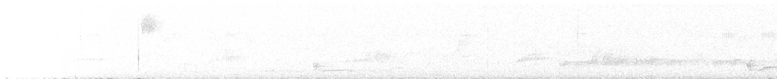 Weißbrusttapaculo - ML645957144