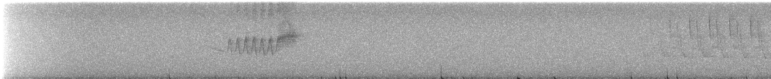 Black-throated Blue Warbler - ML645957912